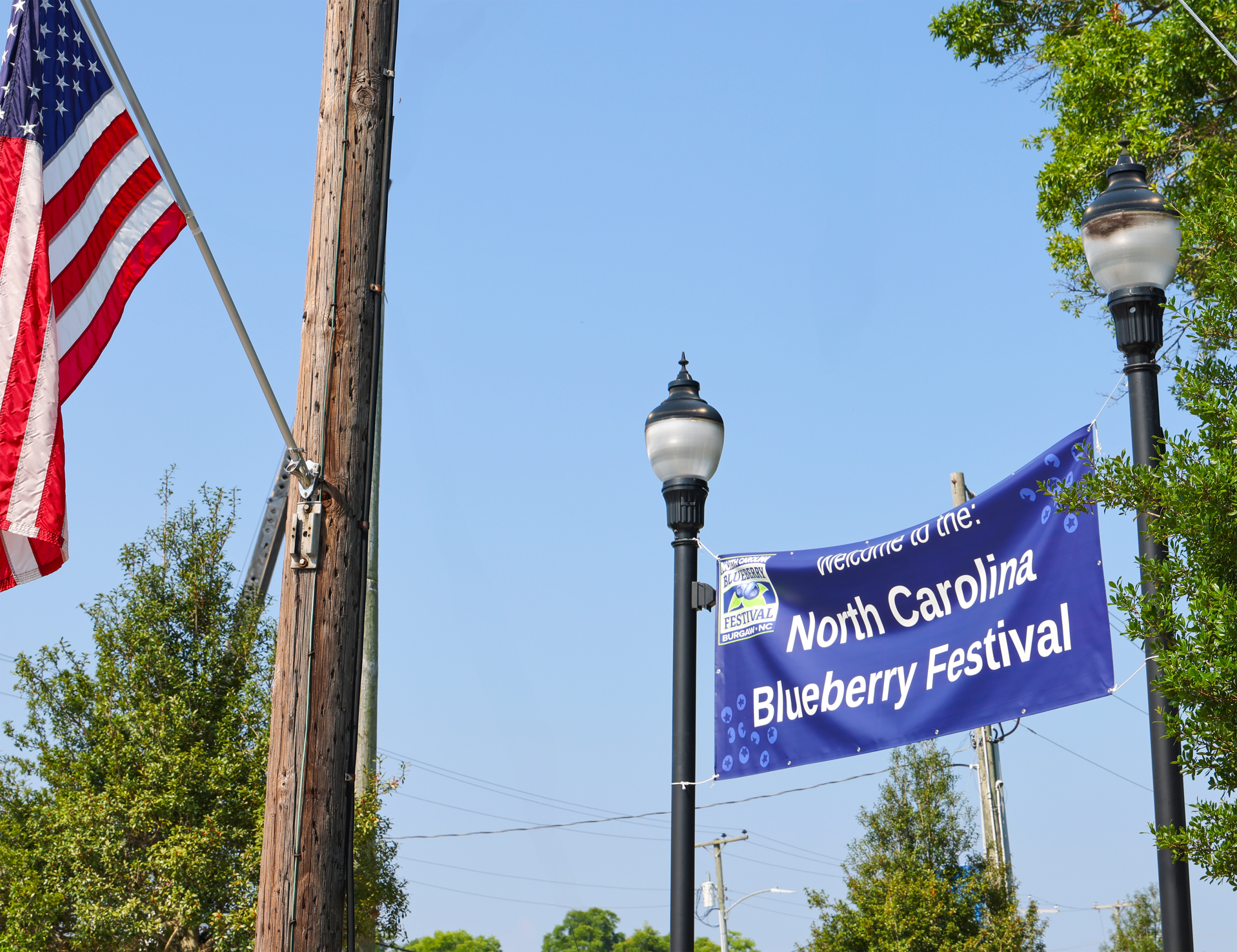 Record Crowds Boost Local Economy at North Carolina Blueberry Festival