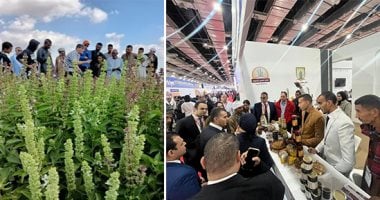 Economic Clusters in Upper Egypt Development Program: A Success Story Praised by the World Bank