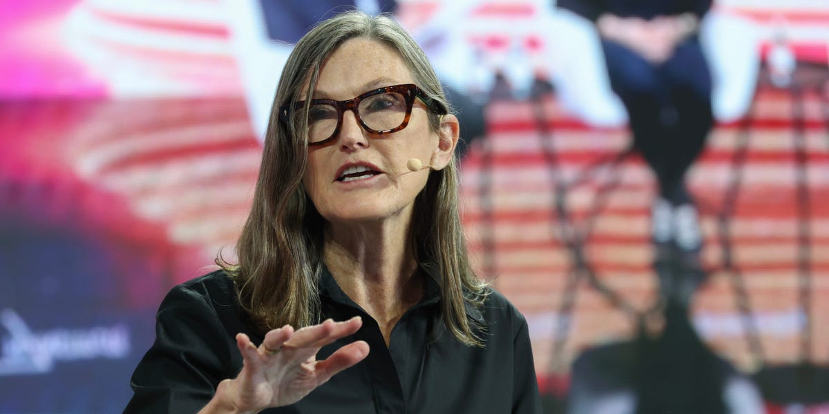 Cathie Wood Discusses Musk-Trump Feud and Government Influence on Musk’s Companies