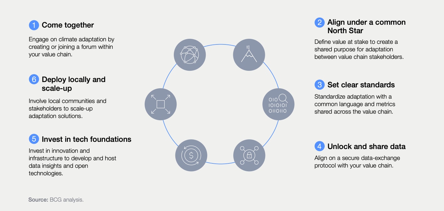 6 Steps to Build Climate-Resilient Value Chains