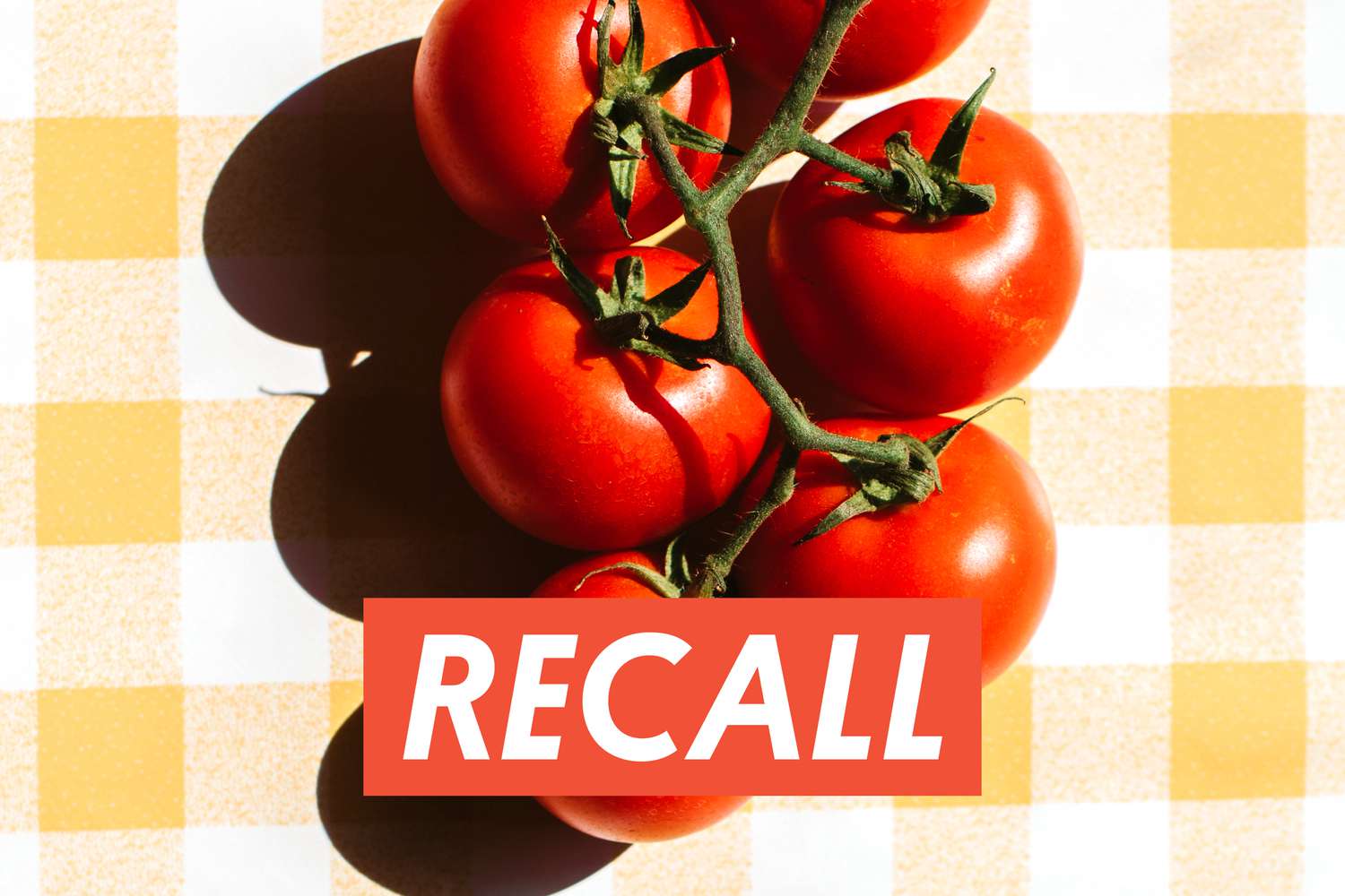 Deadly Tomato Recall Issued Due to Salmonella Contamination