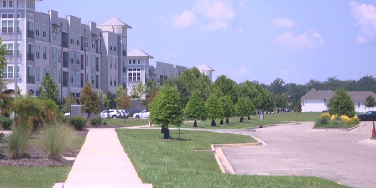 Central establishes new foundation to guide economic growth and support local businesses