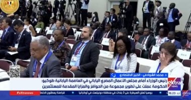 Economic Expert: Egypt’s Participation in TICAD 9 Reinforces Its Strategic Position