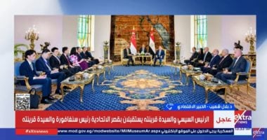 Egypt-Singapore Cooperation Could Boost Industrial Development, Expert Says