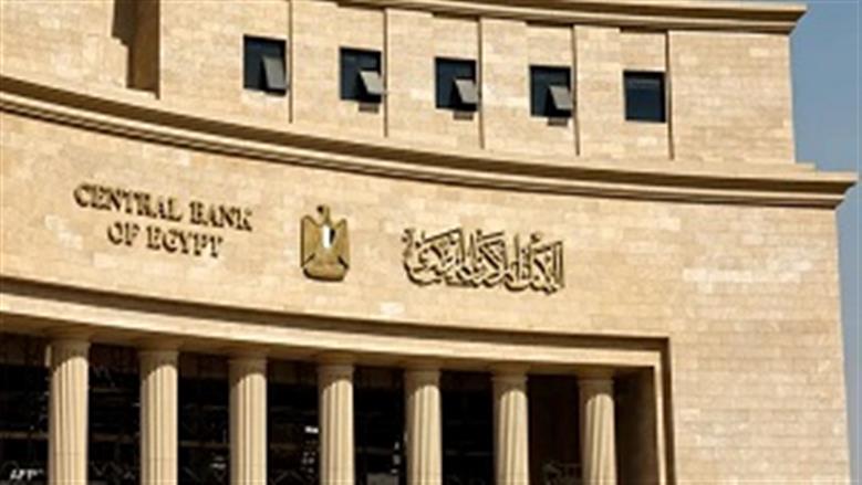 Egyptian Expert Predicts Foreign Reserves to Surpass $50 Billion