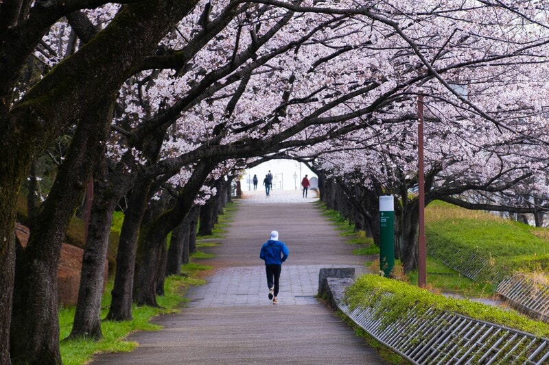 Physical Activity Enhances Health, Workplace Performance, and Community Strength in Japan