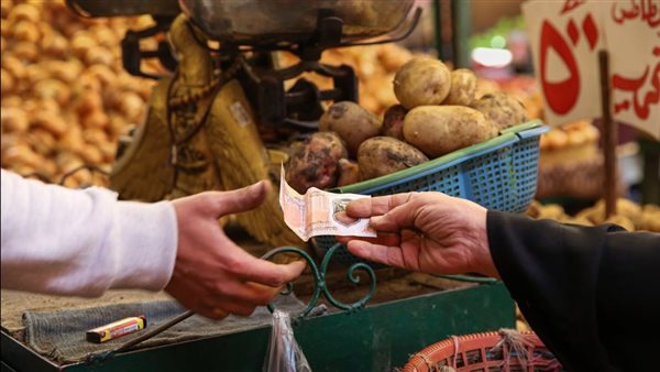 Economic Expert Predicts Inflation Decline in Egypt, Anticipates Interest Rate Cut by December