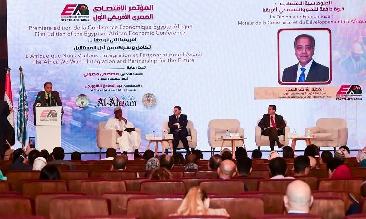 Head of African Affairs Committee Advocates for Stronger Egyptian Economic Presence in Africa