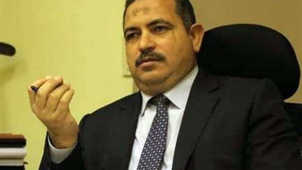 Economic Expert Praises Egypt-South Korea Collaboration in Technology and Education