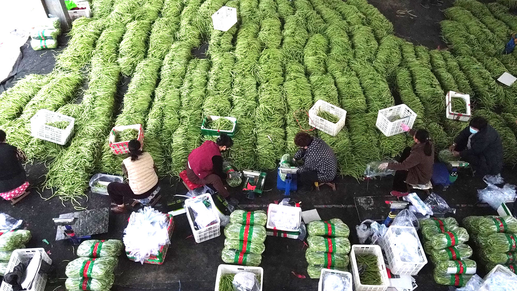 China Aims for Steady Economic Expansion and Policy Coordination in 2026