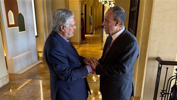 Egyptian Foreign Minister Discusses Strengthening Economic Ties with Pakistan