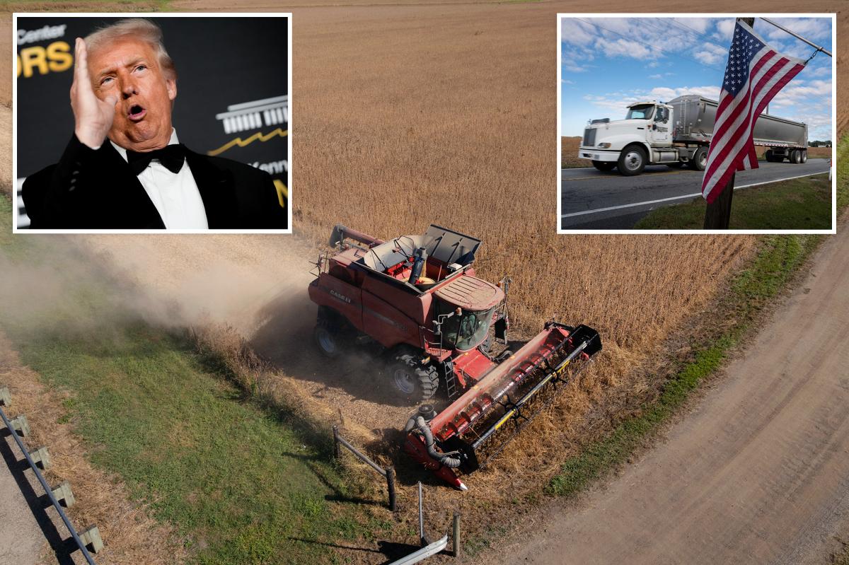 Trump to unveil $12 billion in aid for struggling farmers