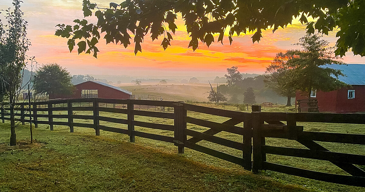 Farmers Express Relief Over USDA Financial Support Amid Economic Hardships