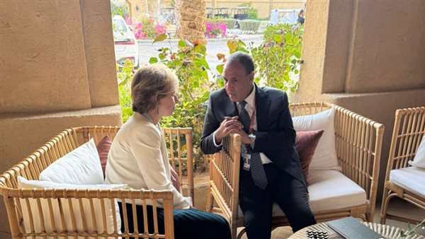 Egypt and France Discuss Strengthening Economic and Trade Ties