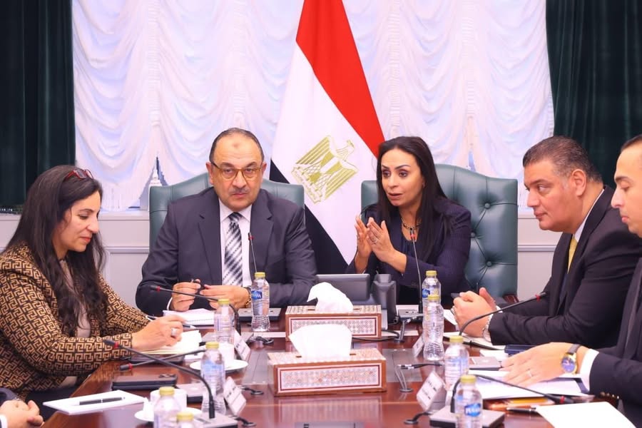 Egyptian Ministry of Social Solidarity and Public Business Sector Explore Industrial Expansion and Job Creation