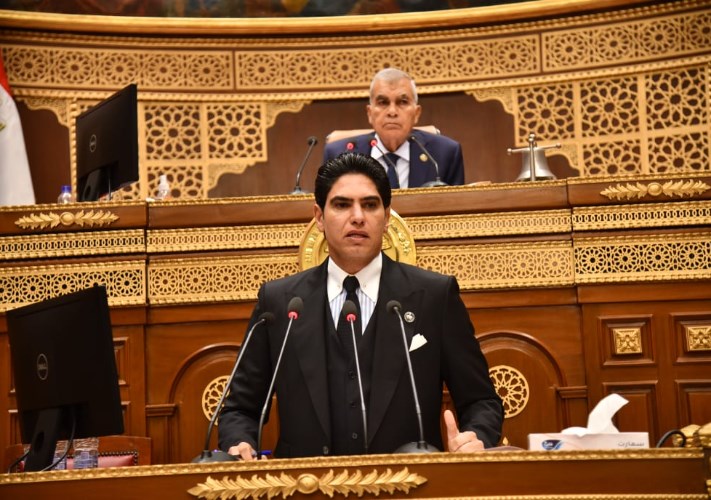 Senate Economic Committee Debates Financial Penalties Under New Competition Law